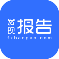 发现报告 Logo